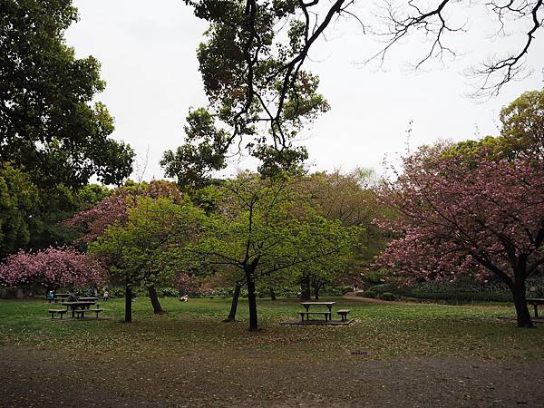 180405-4 清澄庭園 (29).JPG