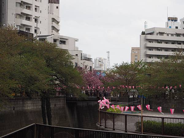 180406-4 中目黑 (19).JPG 180406-4 中目黑 (19).JPG