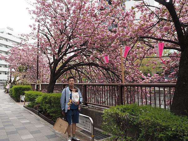 180406-4 中目黑 (22).JPG 180406-4 中目黑 (22).JPG