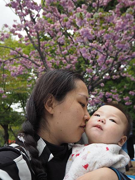 180407-1 上野恩賜公園 (7).JPG 180407-1 上野恩賜公園 (7).JPG