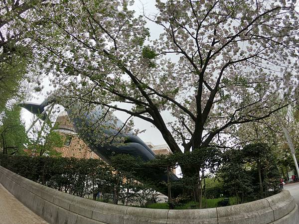 180407-1 上野恩賜公園 (16).JPG 180407-1 上野恩賜公園 (16).JPG