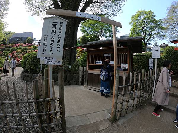 180408-2 根津神社 (10).JPG