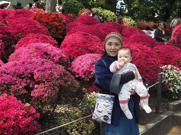 180408-2 根津神社 (23).JPG