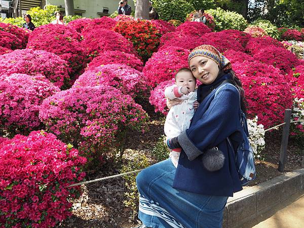 180408-2 根津神社 (24).JPG