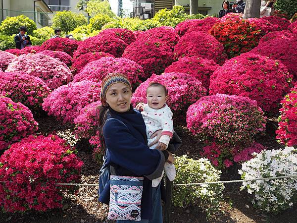 180408-2 根津神社 (25).JPG