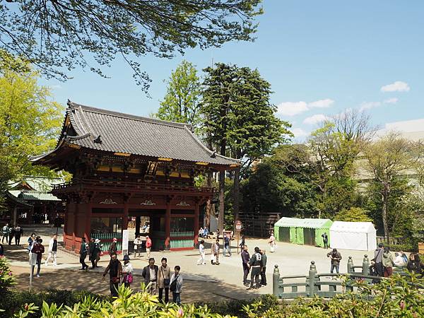 180408-2 根津神社 (46).JPG