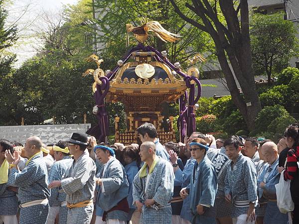 180408-2 根津神社 (52).JPG