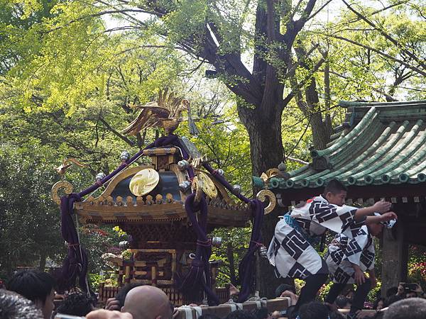 180408-2 根津神社 (55).JPG