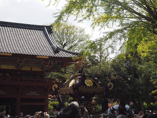 180408-2 根津神社 (56).JPG