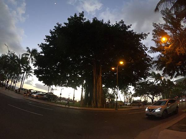 181213-4 Kuhio Beach Park Hula Show (1).jpg