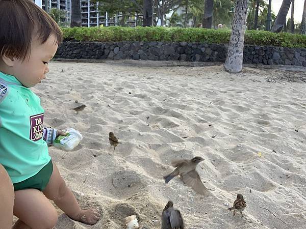 181214-1 Kuhio Beach Park (3).jpg 181214-1 Kuhio Beach Park (3).jpg