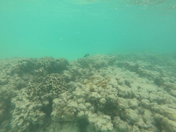 181215-2 Lanikai Beach (28).JPG 181215-2 Lanikai Beach (28).JPG