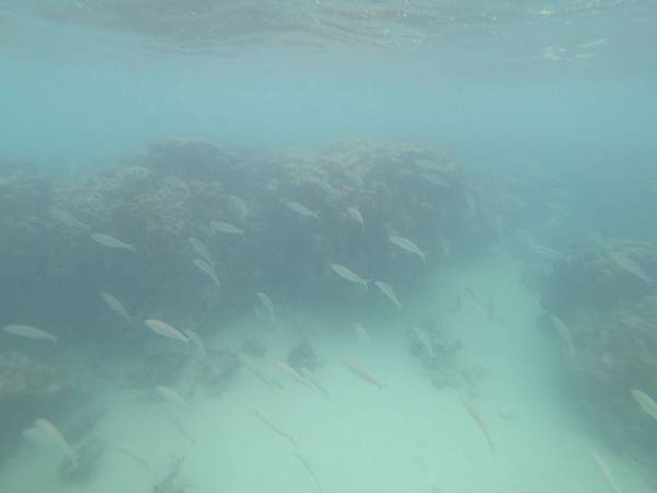 181215-2 Lanikai Beach (33).JPG 181215-2 Lanikai Beach (33).JPG