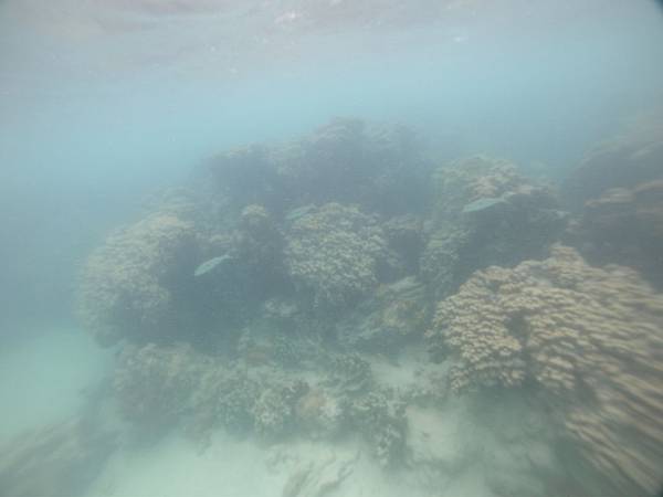 181215-2 Lanikai Beach (37).JPG 181215-2 Lanikai Beach (37).JPG