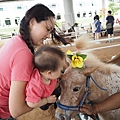 180609-1 寶妮小馬俱樂部 (10).jpg