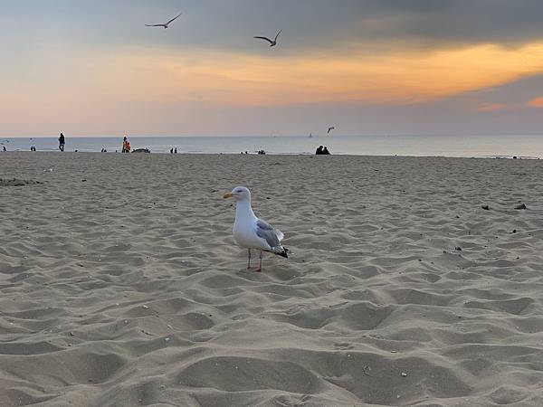 190423-6 海牙Scheveningen Strand (7).jpg