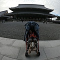 191113-4 東本願寺 (8).jpg