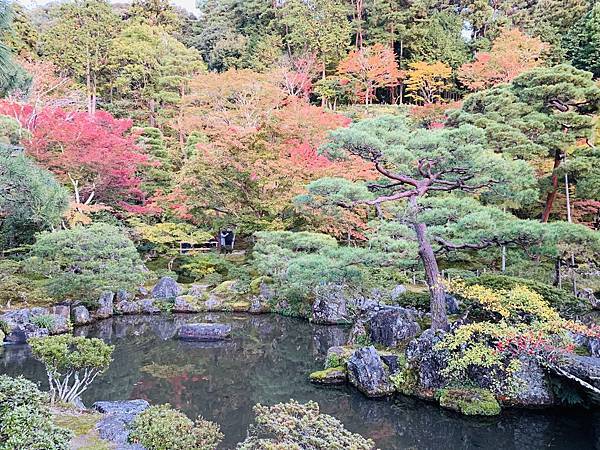 191115-8 銀閣寺 (15).jpg