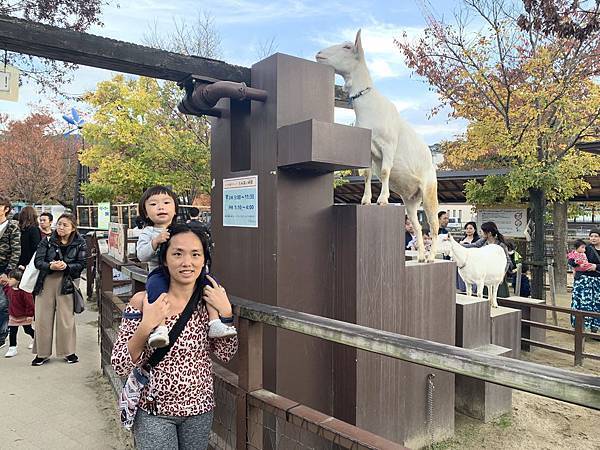 191117-2 京都市動物園 (14).jpg