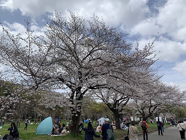 230327-3 大阪城公園 (3).jpg