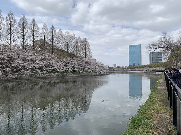 230327-3 大阪城公園 (12).jpg