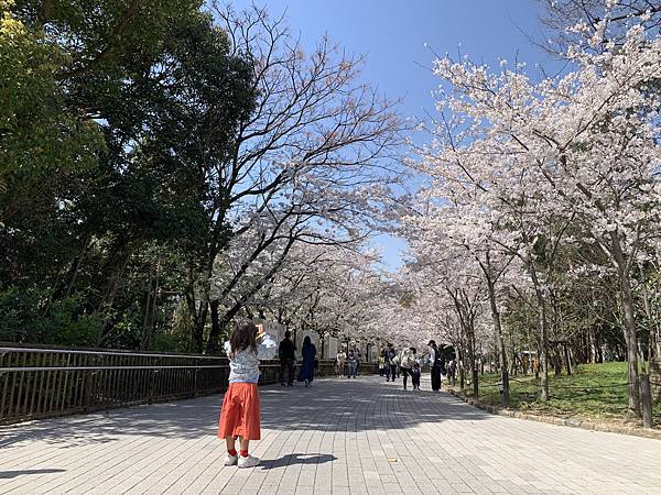 230328-3 天王寺動物園 (3).jpg