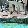 230506-2 上野動物園 (16).jpg