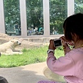 230506-2 上野動物園 (19).jpg