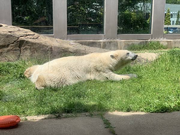 230506-2 上野動物園 (20).jpg