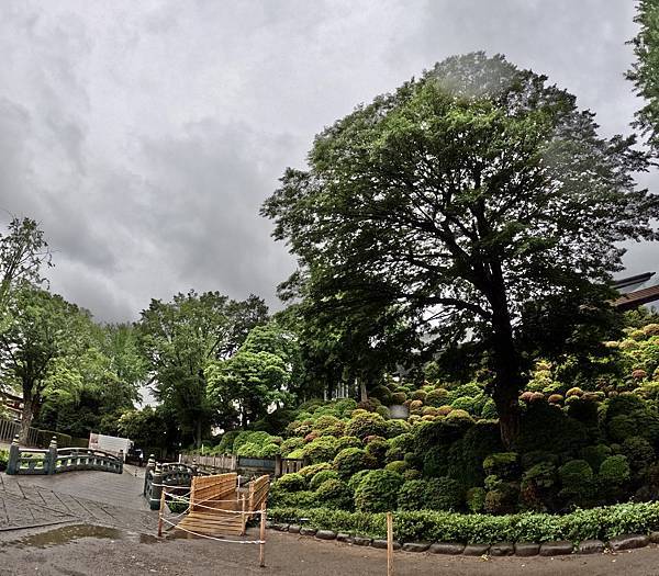 230507-3 根津神社 (6).jpg