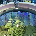 230918-4 葛西臨海水族園 (40).jpg