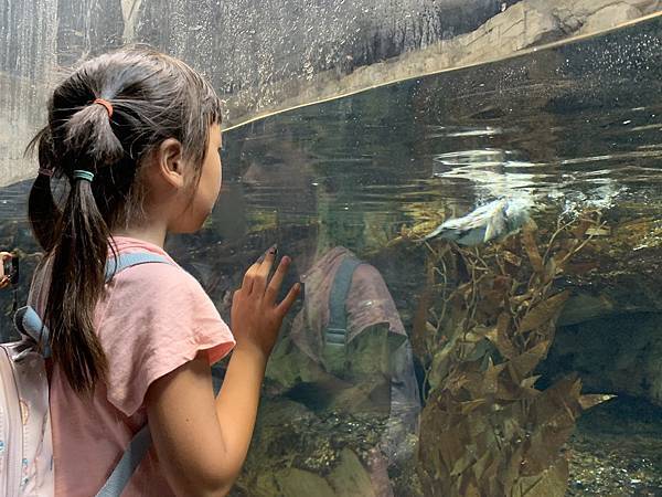 230918-4 葛西臨海水族園 (47).jpg