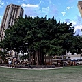 231130-7 Kuhio Beach (14).jpg