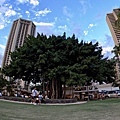 231130-7 Kuhio Beach (15).jpg