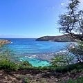 231202-3 Hanauma Bay (77).jpg