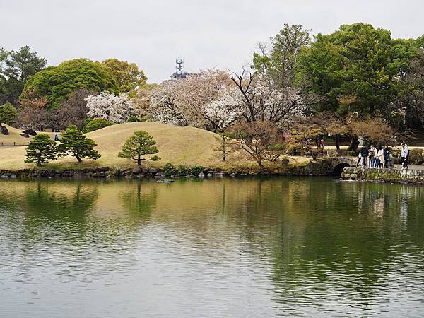 240323-2 水前寺成趣園 (55).jpg