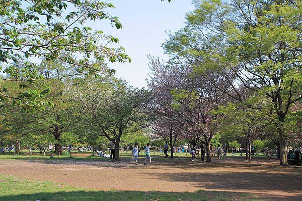 110424井之頭恩賜公園