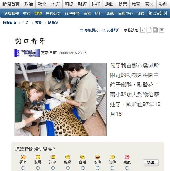 081216新聞:豹口看牙 081216新聞:豹口看牙