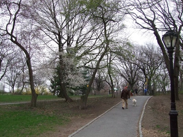 090414 Central Park