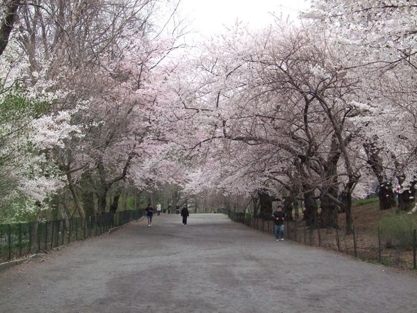 090414 Central Park