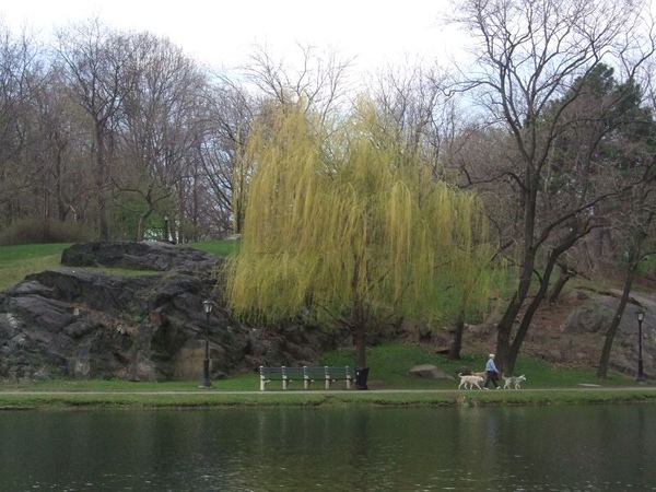 090418 Central Park