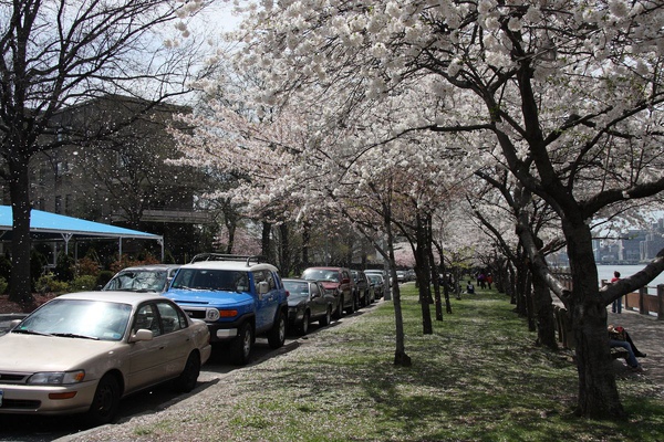 090418 Roosevelt Island