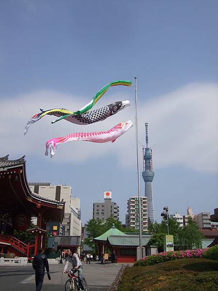 110426淺草觀音寺鯉魚旗