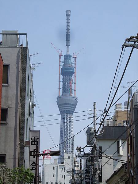 110426天空樹