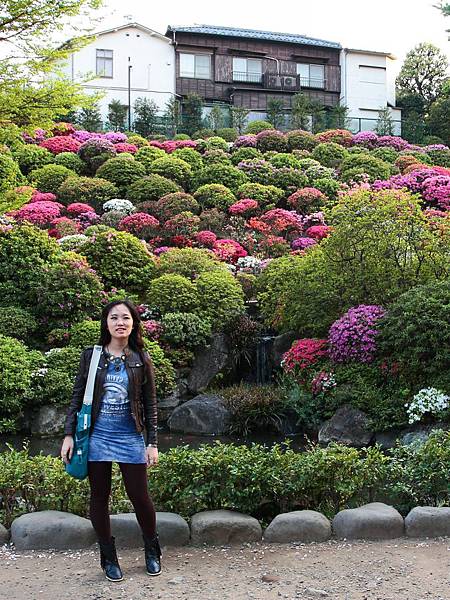 110426根津神社杜鵑花園