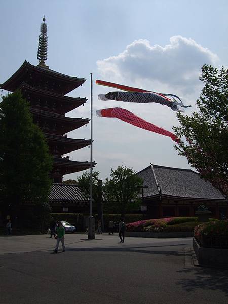 110426淺草觀音寺鯉魚旗