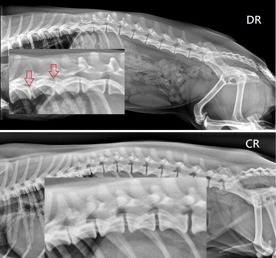 35695424_1958554357528025_1779663920080879616_n.jpg 35695424_1958554357528025_1779663920080879616_n.jpg