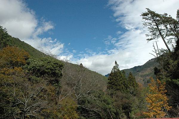 武陵農場大露營