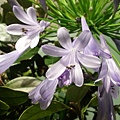 20140508_095140.jpg