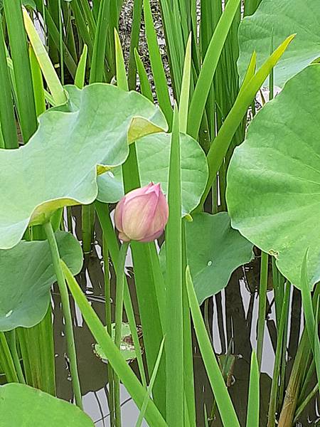 20190526_155116.jpg